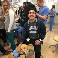 Babek Yousefi的照片