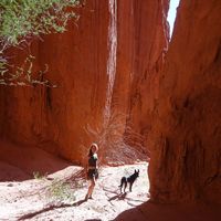 Marta Cwikla's Photo