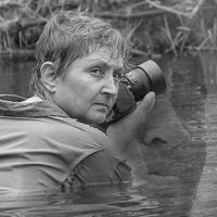 Fotos de Bippe Havik