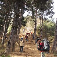 Fotos de Imam Rianto