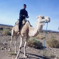 Ahmed Labbihi的照片