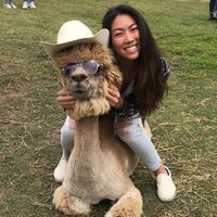 Hannah Harasaki的照片