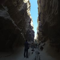 Ali Fooladi的照片