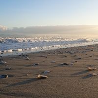 Radhia Grine's Photo