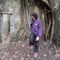 Mohannad El Morsy的照片