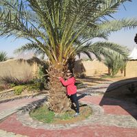 Sonam Kotadia的照片