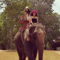 Guessam Hajar的照片