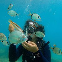 Photos de Aziza marrach