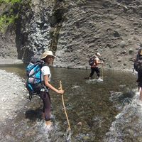 Emilie JARRY的照片