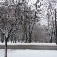 Aydan Efendiyeva's Photo