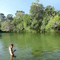 Tomas  Alcaina的照片