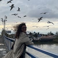 Leyli Bahar的照片