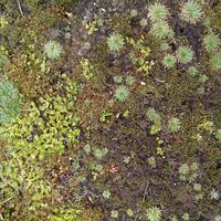 Nehuén Carrasco的照片