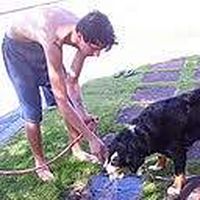 Fabio Pimenta's Photo