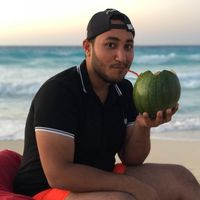 Mohamed R. ElShahawy的照片