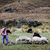 Fotos de Rodrigo Manrique