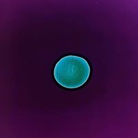 Nina Jørgensen's Photo