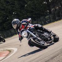 Fotos von Giacomo Salatiello