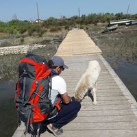 abbas nazari's Photo