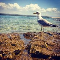 Valentina Bona's Photo