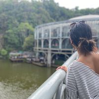 Monica  Valdes's Photo