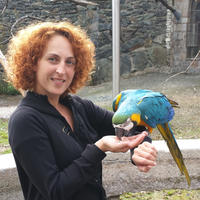 Anette Schumacher的照片