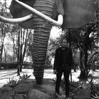 Le foto di Josiah Mburu