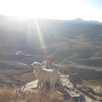 Guillermo Graton的照片