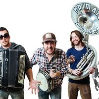 Primate Fiasco's Photo