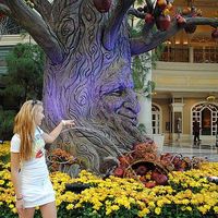 Kalina Mihova's Photo