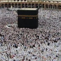 عبد الرحيم السباعي的照片