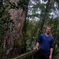 Michael Markert的照片