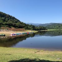 Fotos de alireza arefi