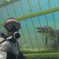 Herve-Vadim Lani的照片