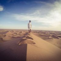 Le foto di Terry Benedict