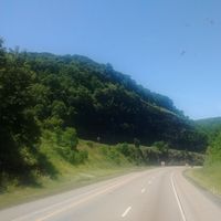 Charlie Bristowe's Photo