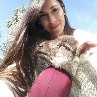 Brenda Martinez's Photo