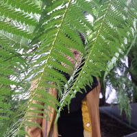 Le foto di Emilía Turner