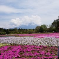 Mike Marcel的照片