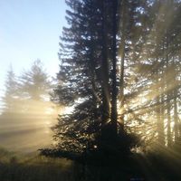 Abraham van Vliet的照片