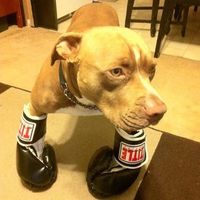 Alberto Velez的照片