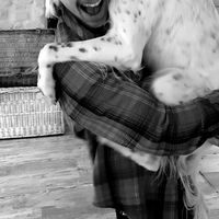 Nicolas Decastiaux的照片