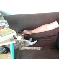 Begum Cerrahoglu的照片