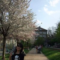 Tseng Yen-Chia's Photo