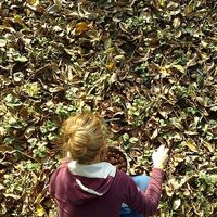 Ildikó Horváth's Photo