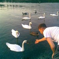 Jaret McQueen的照片