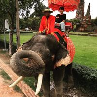 Mirai Takano's Photo