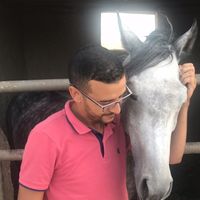 Mustafa Himmi的照片