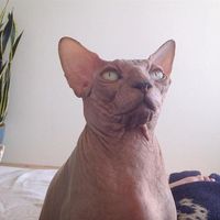 Luis García's Photo