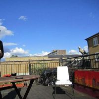 Le foto di Micol Zappa